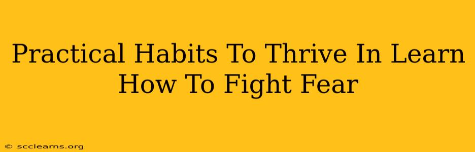 Practical Habits To Thrive In Learn How To Fight Fear