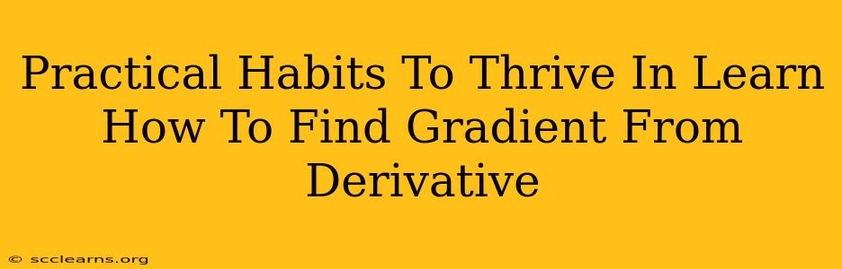 Practical Habits To Thrive In Learn How To Find Gradient From Derivative