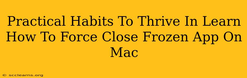 Practical Habits To Thrive In Learn How To Force Close Frozen App On Mac