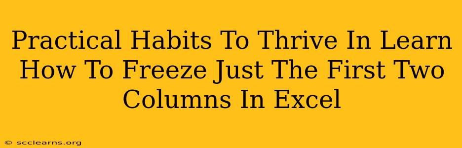 Practical Habits To Thrive In Learn How To Freeze Just The First Two Columns In Excel