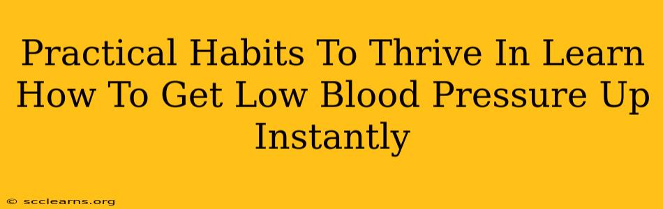 Practical Habits To Thrive In Learn How To Get Low Blood Pressure Up Instantly