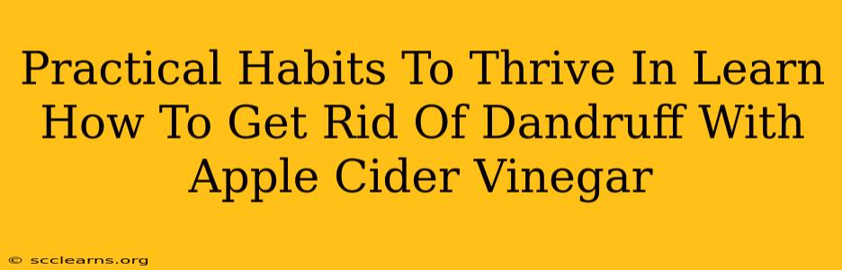 Practical Habits To Thrive In Learn How To Get Rid Of Dandruff With Apple Cider Vinegar