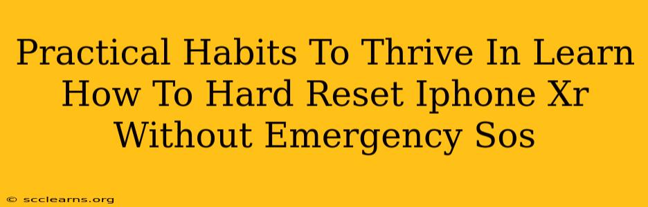 Practical Habits To Thrive In Learn How To Hard Reset Iphone Xr Without Emergency Sos