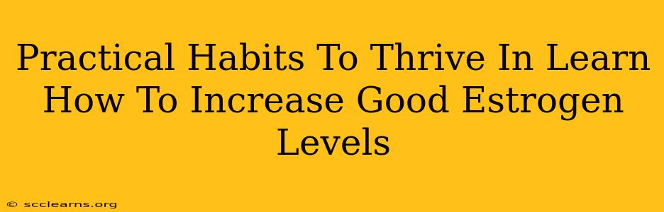 Practical Habits To Thrive In Learn How To Increase Good Estrogen Levels