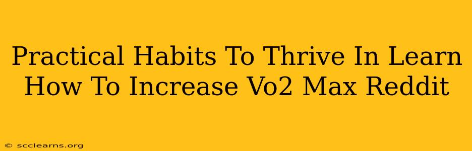 Practical Habits To Thrive In Learn How To Increase Vo2 Max Reddit