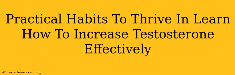 Practical Habits To Thrive In Learn How To Increase Testosterone Effectively