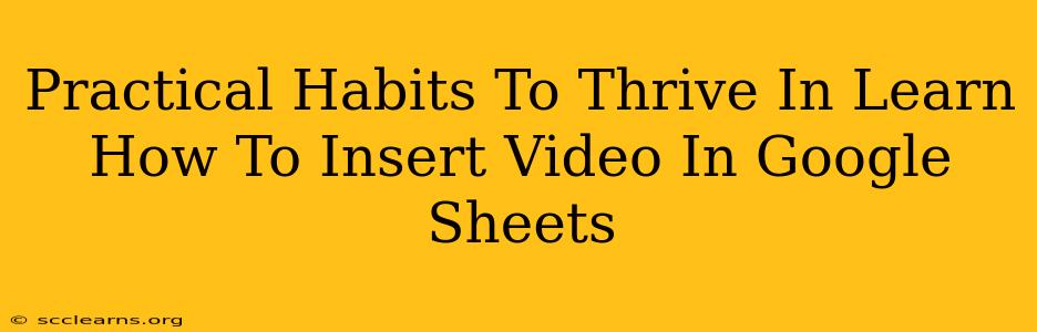 Practical Habits To Thrive In Learn How To Insert Video In Google Sheets