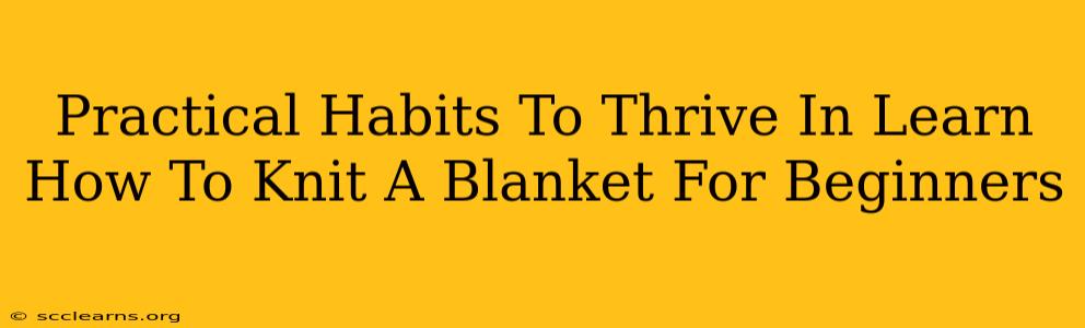 Practical Habits To Thrive In Learn How To Knit A Blanket For Beginners