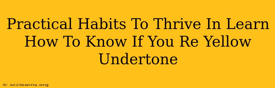 Practical Habits To Thrive In Learn How To Know If You Re Yellow Undertone