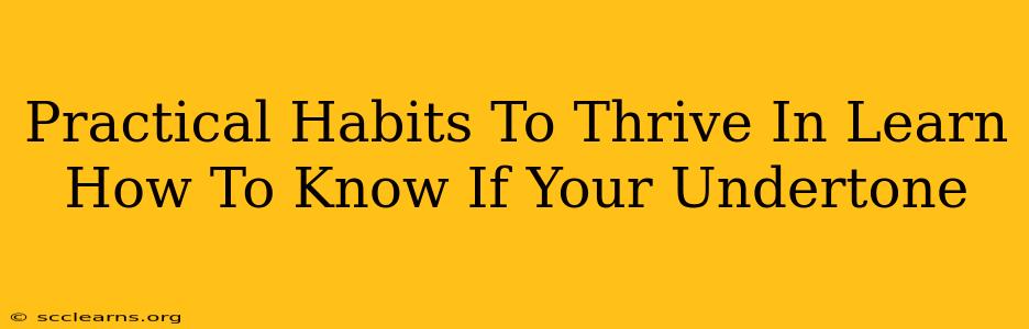 Practical Habits To Thrive In Learn How To Know If Your Undertone