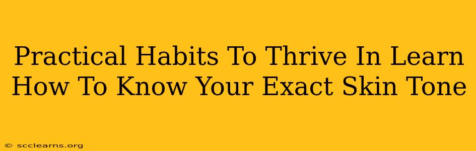 Practical Habits To Thrive In Learn How To Know Your Exact Skin Tone