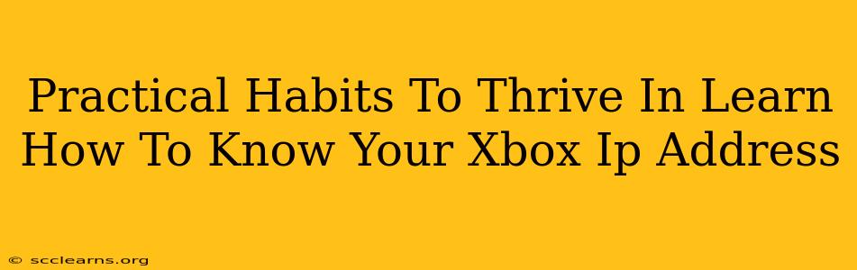 Practical Habits To Thrive In Learn How To Know Your Xbox Ip Address