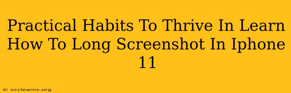 Practical Habits To Thrive In Learn How To Long Screenshot In Iphone 11