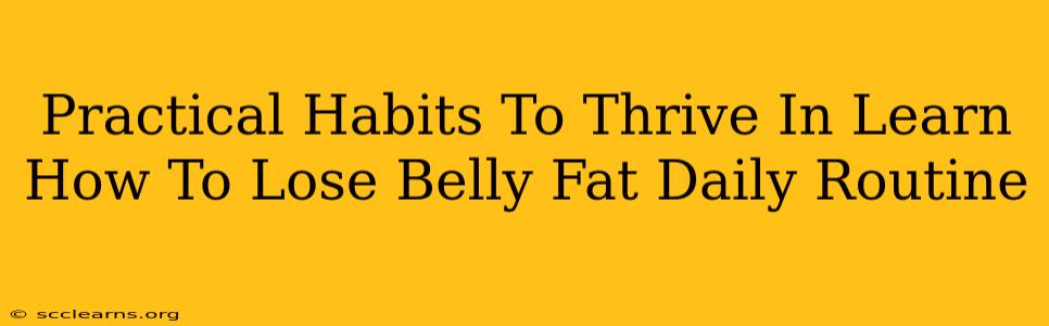 Practical Habits To Thrive In Learn How To Lose Belly Fat Daily Routine