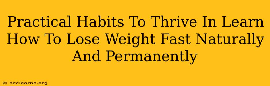 Practical Habits To Thrive In Learn How To Lose Weight Fast Naturally And Permanently