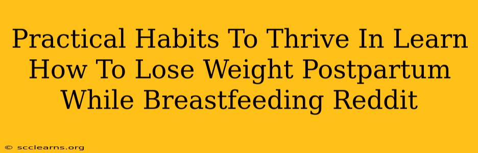 Practical Habits To Thrive In Learn How To Lose Weight Postpartum While Breastfeeding Reddit