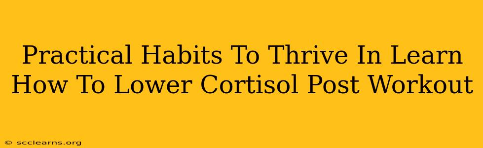 Practical Habits To Thrive In Learn How To Lower Cortisol Post Workout