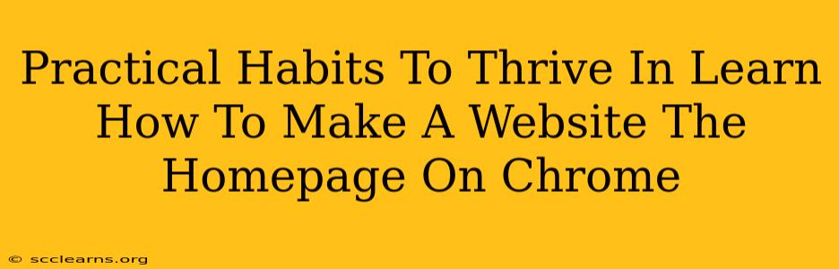 Practical Habits To Thrive In Learn How To Make A Website The Homepage On Chrome