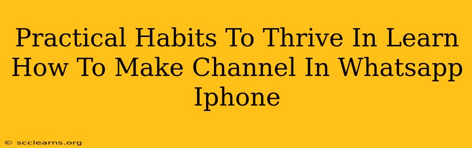 Practical Habits To Thrive In Learn How To Make Channel In Whatsapp Iphone