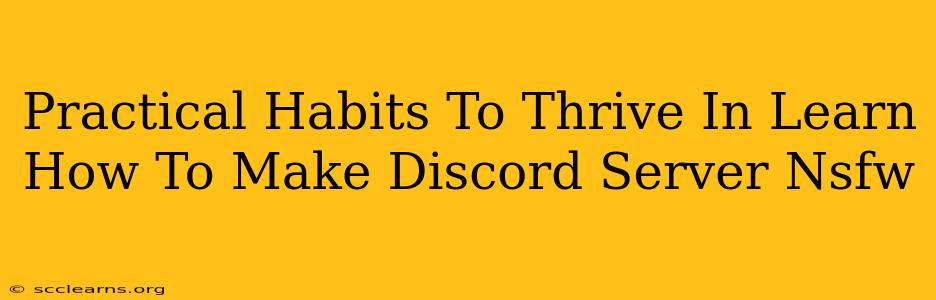 Practical Habits To Thrive In Learn How To Make Discord Server Nsfw