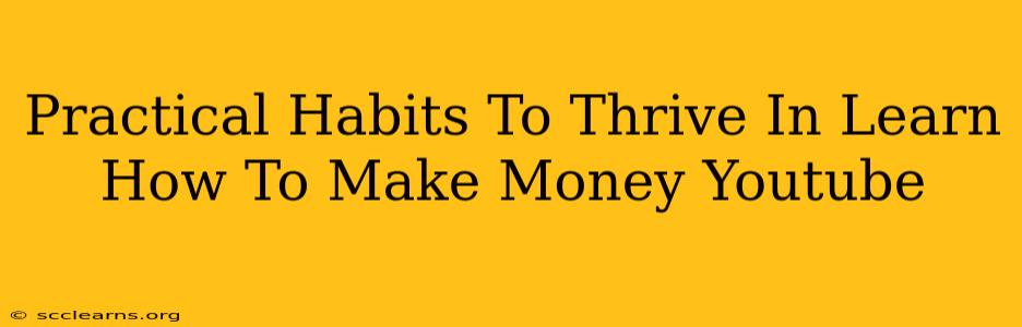 Practical Habits To Thrive In Learn How To Make Money Youtube