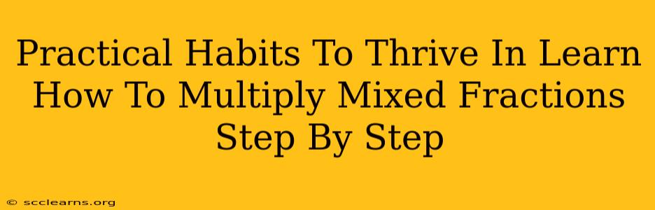 Practical Habits To Thrive In Learn How To Multiply Mixed Fractions Step By Step