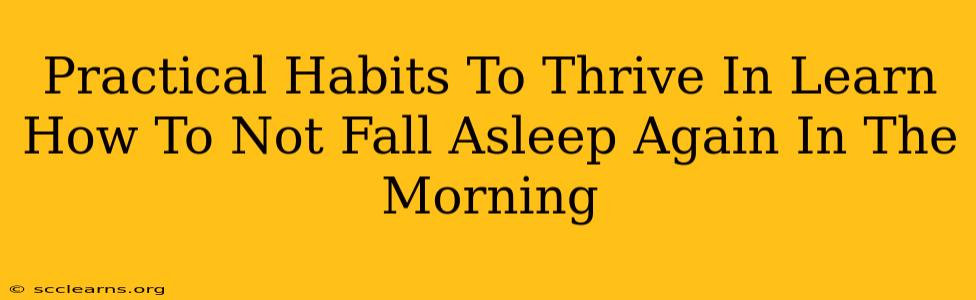 Practical Habits To Thrive In Learn How To Not Fall Asleep Again In The Morning