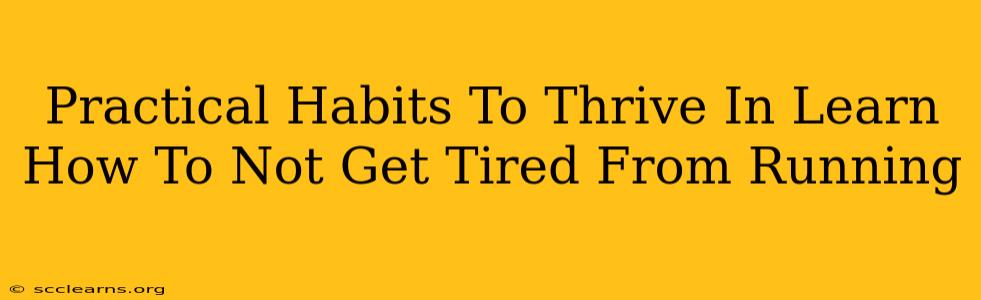 Practical Habits To Thrive In Learn How To Not Get Tired From Running