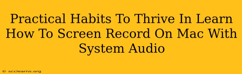 Practical Habits To Thrive In Learn How To Screen Record On Mac With System Audio