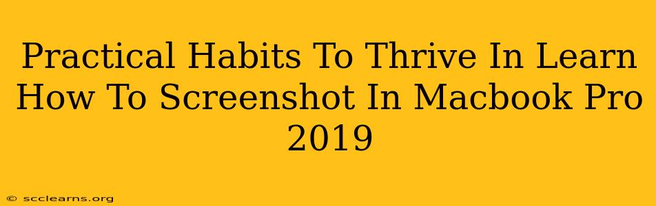 Practical Habits To Thrive In Learn How To Screenshot In Macbook Pro 2019