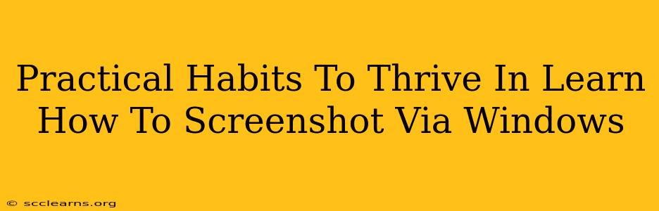 Practical Habits To Thrive In Learn How To Screenshot Via Windows