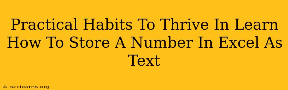 Practical Habits To Thrive In Learn How To Store A Number In Excel As Text