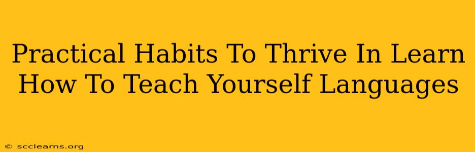 Practical Habits To Thrive In Learn How To Teach Yourself Languages