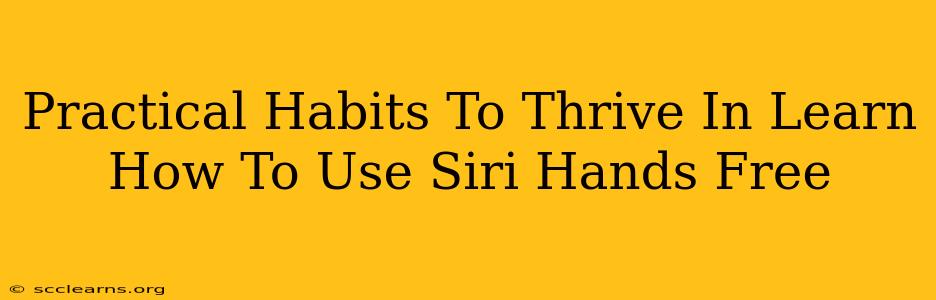 Practical Habits To Thrive In Learn How To Use Siri Hands Free