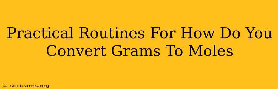 Practical Routines For How Do You Convert Grams To Moles