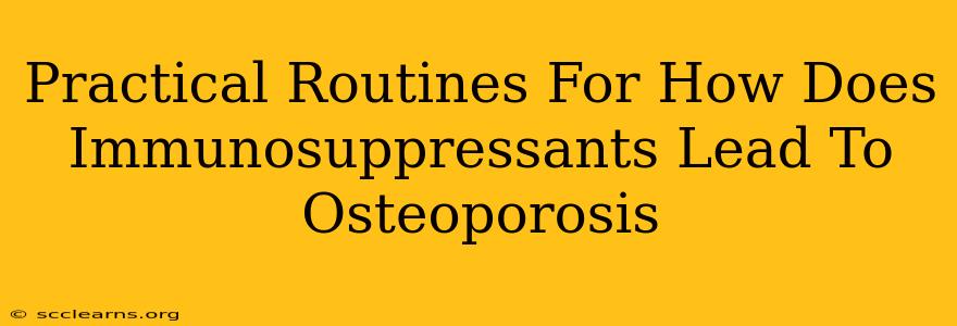 Practical Routines For How Does Immunosuppressants Lead To Osteoporosis