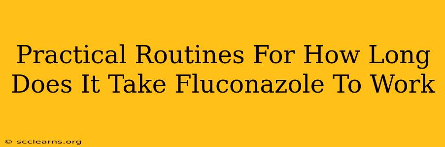 Practical Routines For How Long Does It Take Fluconazole To Work