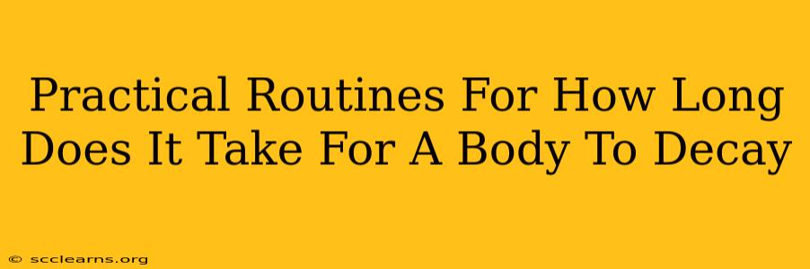 Practical Routines For How Long Does It Take For A Body To Decay