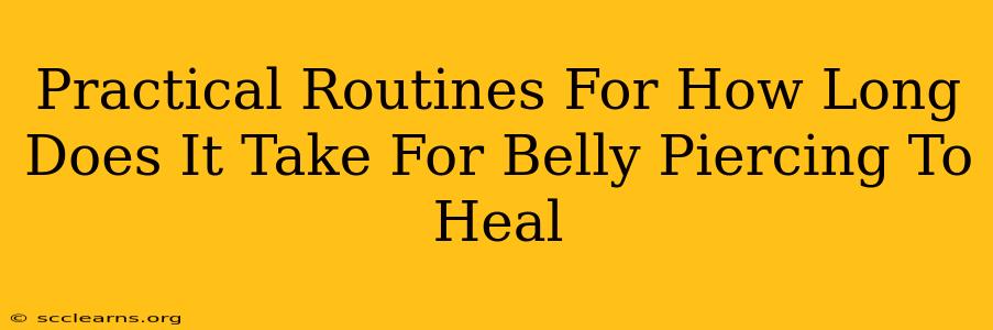 Practical Routines For How Long Does It Take For Belly Piercing To Heal