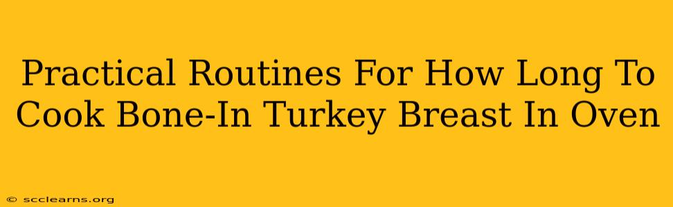 Practical Routines For How Long To Cook Bone-In Turkey Breast In Oven