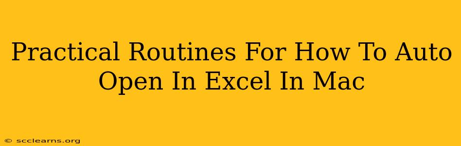 Practical Routines For How To Auto Open In Excel In Mac