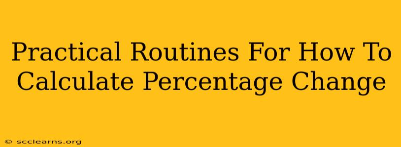 Practical Routines For How To Calculate Percentage Change