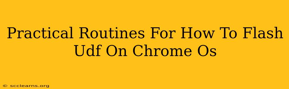 Practical Routines For How To Flash Udf On Chrome Os