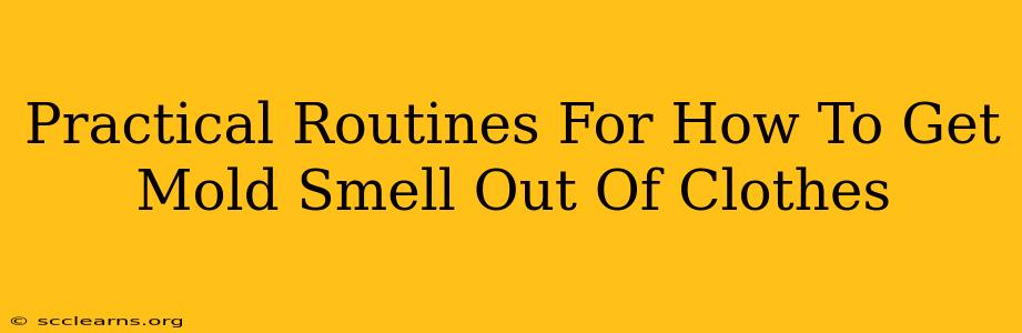 Practical Routines For How To Get Mold Smell Out Of Clothes