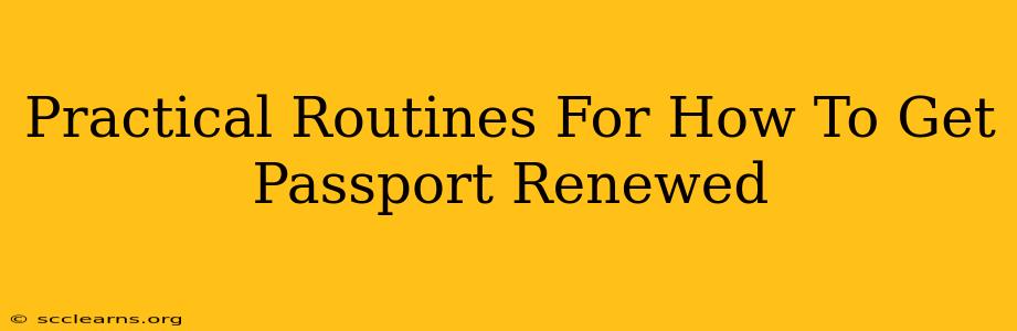 Practical Routines For How To Get Passport Renewed