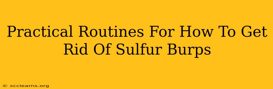 Practical Routines For How To Get Rid Of Sulfur Burps