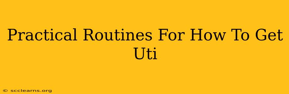 Practical Routines For How To Get Uti