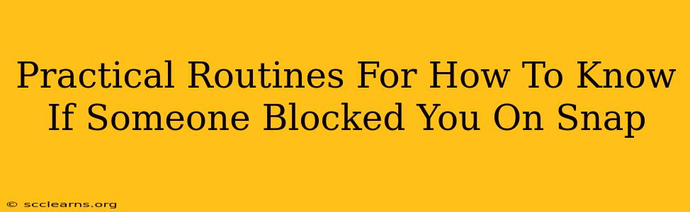 Practical Routines For How To Know If Someone Blocked You On Snap