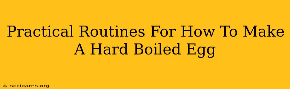 Practical Routines For How To Make A Hard Boiled Egg