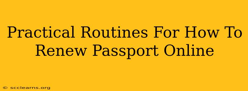 Practical Routines For How To Renew Passport Online